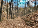 photo thumbnail #4