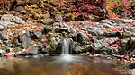 photo thumbnail #6