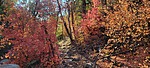 photo thumbnail #6