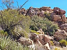 photo thumbnail #5