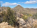 photo thumbnail #10