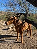 photo thumbnail #10