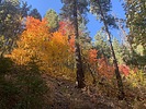 photo thumbnail #1