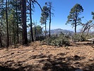 photo thumbnail #6