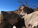 photo thumbnail #12