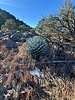 photo thumbnail #5