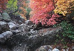 photo thumbnail #6