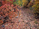 photo thumbnail #14