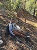 photo thumbnail #7