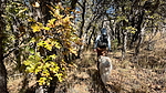 photo thumbnail #8