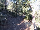 photo thumbnail #5