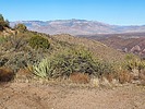 2024-11-11 :2: Jump Mountain 4878 - SRC Wilderness :: DixieFlyer