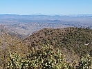 photo thumbnail #3
