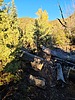 photo thumbnail #10