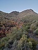 2024-11-13 :1: Copper Lion Loop :: joebartels