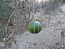 photo thumbnail #14