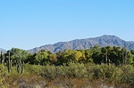 2024-11-15 :3: CCRP 4 Trail Loop :: LosDosSloFolks