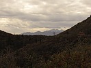 photo thumbnail #14