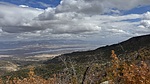 photo thumbnail #14