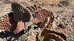 photo thumbnail #7