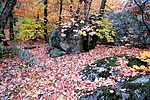 photo thumbnail #4