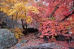 photo thumbnail #5