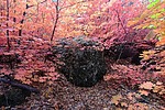 photo thumbnail #6