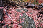 photo thumbnail #15