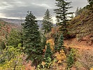 photo thumbnail #6