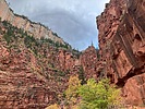photo thumbnail #10