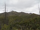 photo thumbnail #11