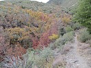 photo thumbnail #14