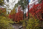 photo thumbnail #5