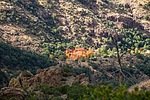 photo thumbnail #13