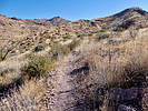 2024-11-15 :3: Circle Azimuth Mark-Superstition Mts :: FLYING_FLIVER