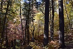 photo thumbnail #3