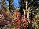 photo thumbnail #11