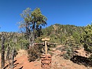 photo thumbnail #5