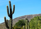 photo thumbnail #2