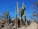 photo thumbnail #3