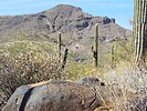 2024-11-19 :3: Boca Grande Trail - Spur Cross :: LosDosSloFolks