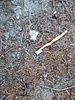 photo thumbnail #10