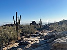 photo thumbnail #2