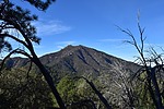 photo thumbnail #4