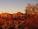 photo thumbnail #1