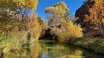 photo thumbnail #2