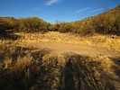 photo thumbnail #8