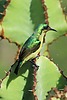 photo thumbnail #15