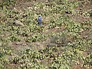 2024-11-23 :3: Lousy Canyon Ruins :: John10s