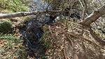 photo thumbnail #10